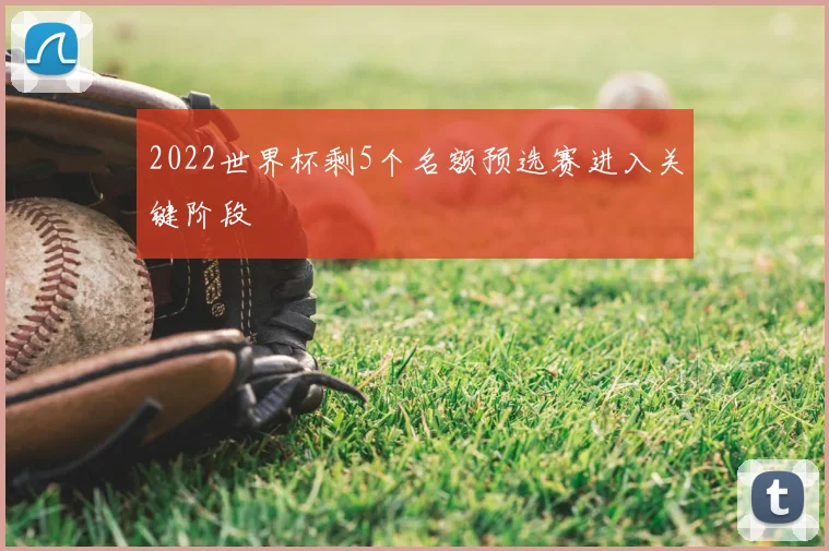 2022世界杯剩5个名额预选赛进入关键阶段