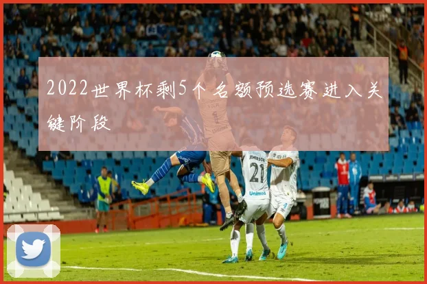 2022世界杯剩5个名额预选赛进入关键阶段